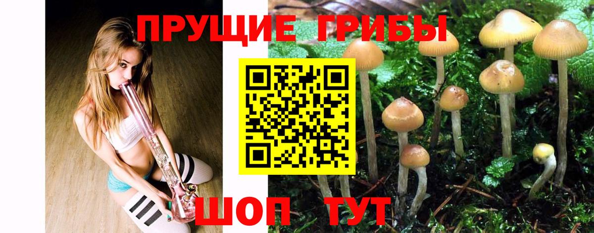 Аксай  дарнет шоп  Вход с VPN  Псилоцибиновые грибы Psilocybine cubensis 